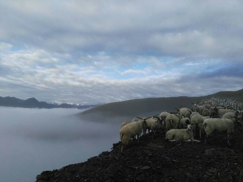 中国】达瓦更扎看云海AG真人直营【大美
