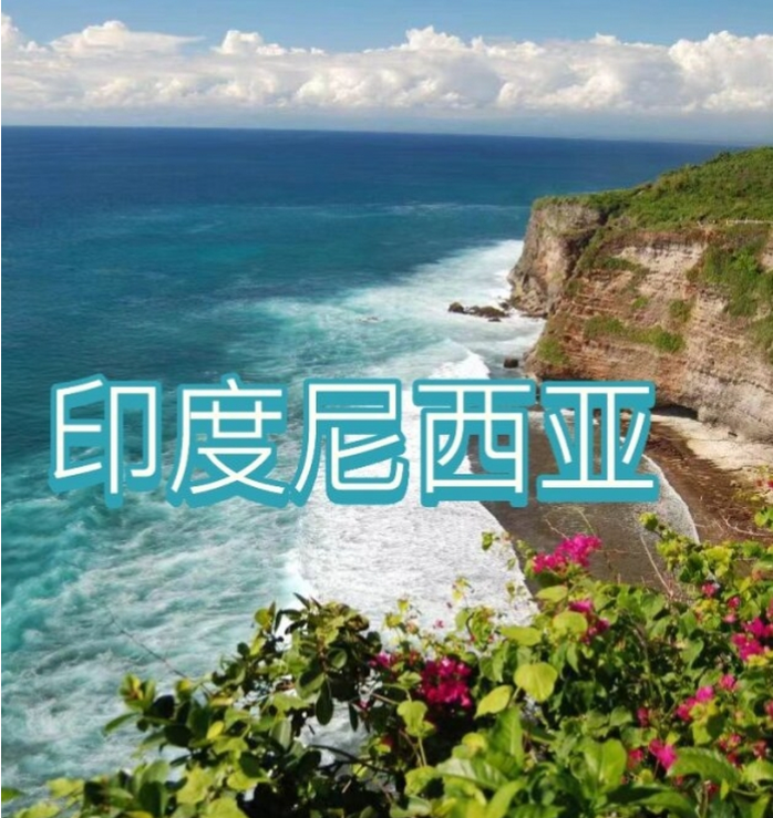 中国国际电商(印尼)产业博览会AG真人百家家乐app2025(图3)