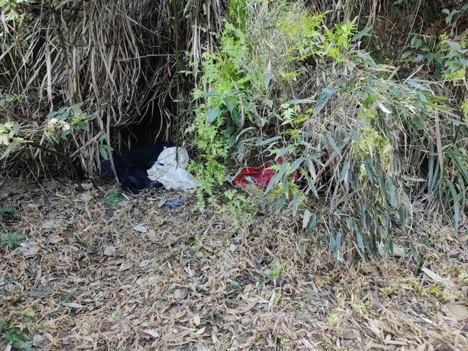 捕！两名犯罪嫌疑人被抓！AG真人网页绍兴深山围