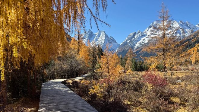 P10 榜单发布！高反保障、藏文化体验核心AG真人中国2025 川西旅游旅行社 TO(图3)