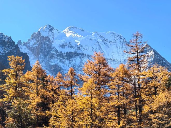 P10 榜单发布！高反保障、藏文化体验核心AG真人中国2025 川西旅游旅行社 TO(图9)